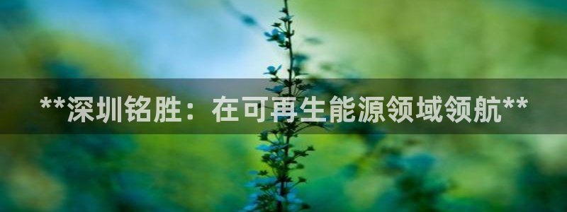 sunbet游戏网