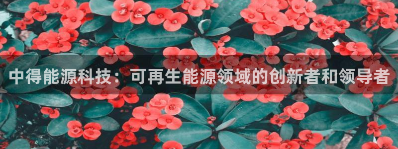 申博官方网址