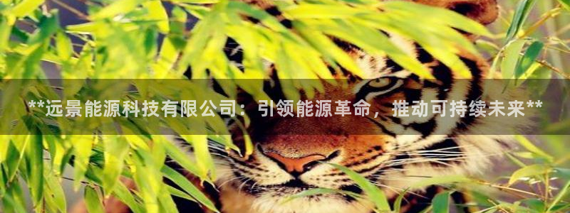 申博官网手机客户端