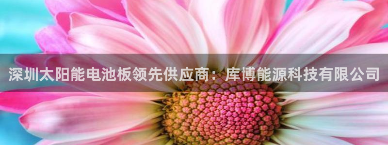 sunbet申搏平台