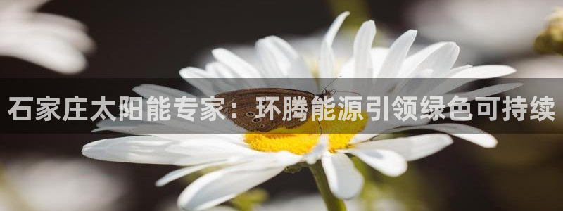 sunbet中文