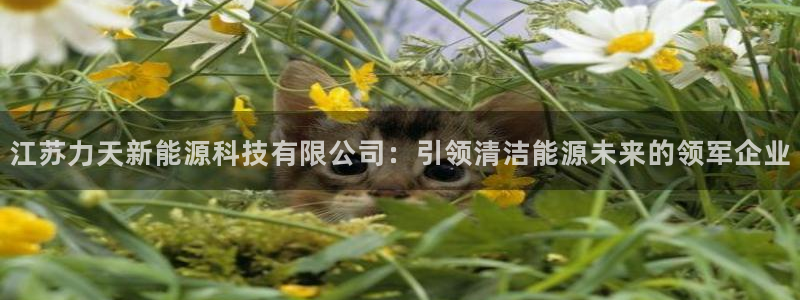 申慱sunbet版app