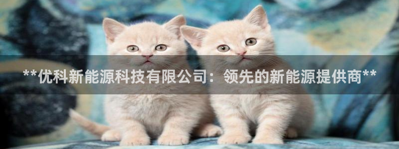 sunbet官网手机版