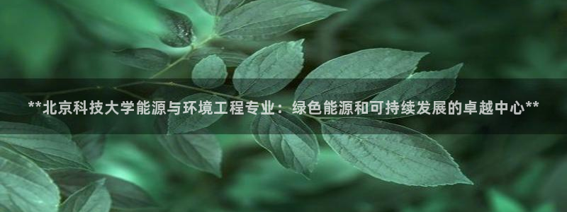 申博官网电脑版下载