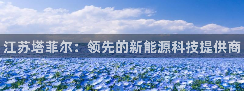 sunbet官网手机版登录