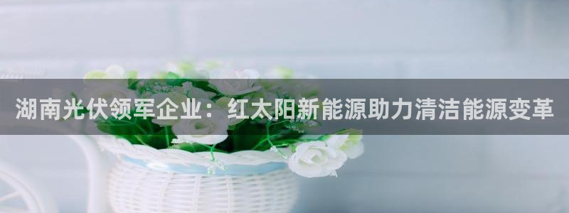 sunbet中文