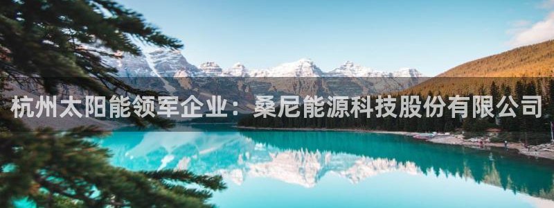 sunbet手机版官网下载