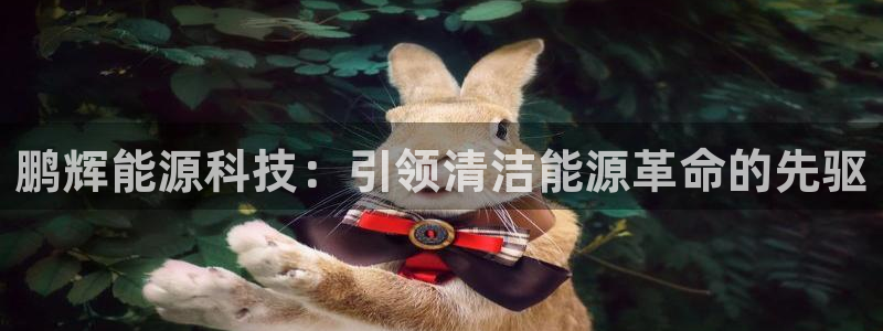 申博官网手机客户端