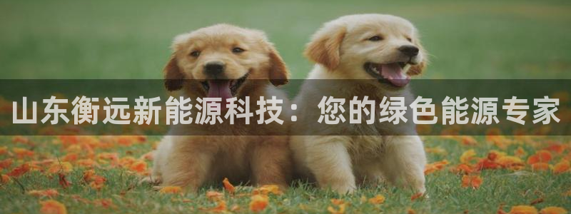 sunbet中文