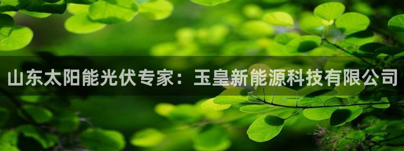 sunbet官网app首页