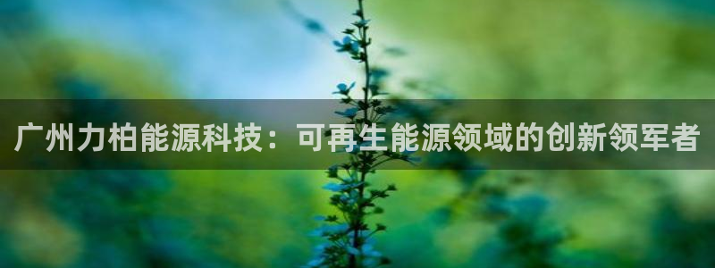 sunbet官网welcome