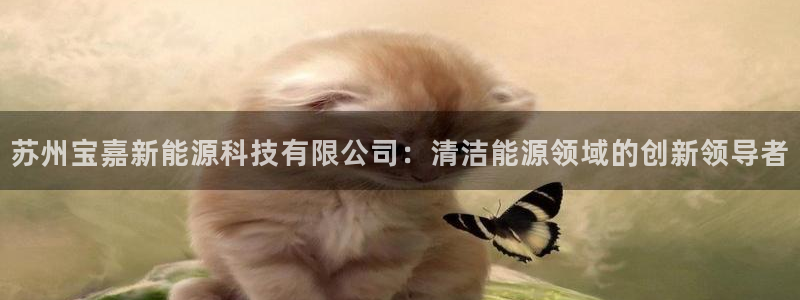 sunbet游戏地址