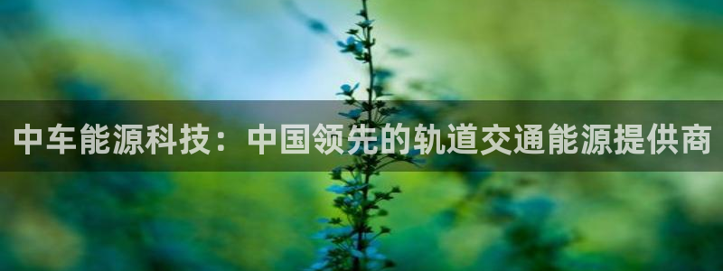 sunbet线上真人手机版