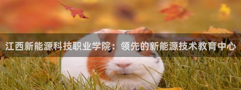 sunbething怎么读