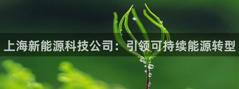 sunbet游戏地址