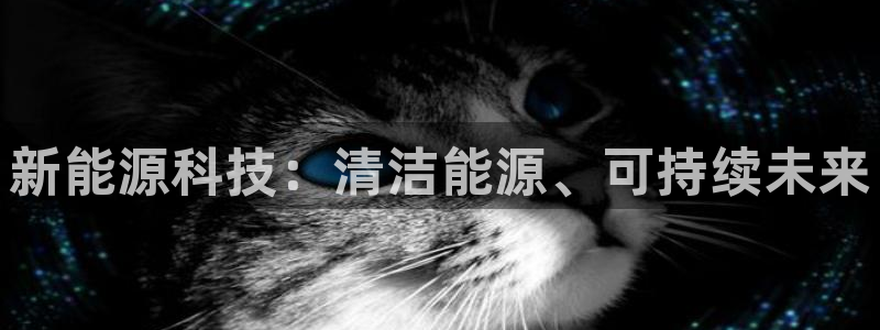 申博手机版官网