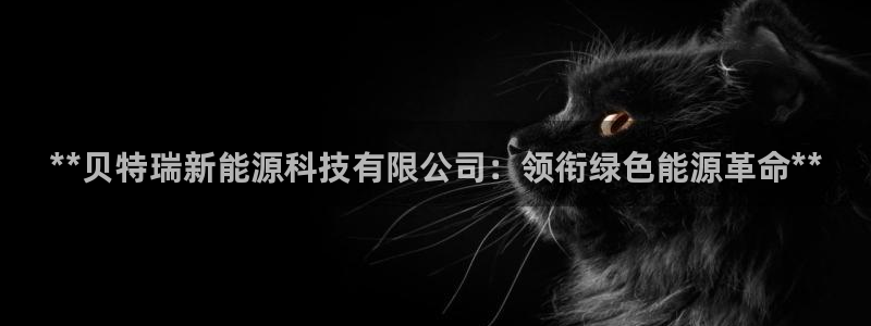 sunbet手机版官网下载