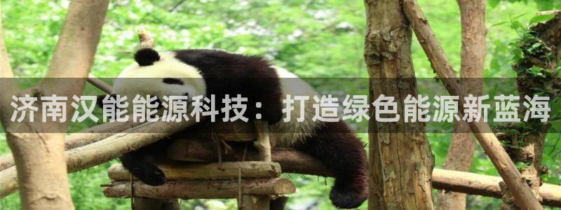 sunbet手机网页版下载
