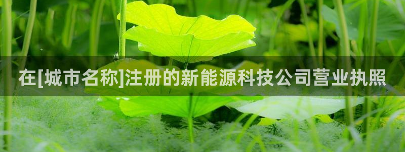 申博手机版app下载