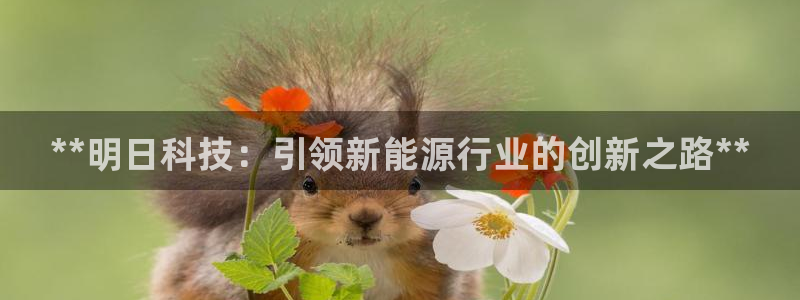 sunbet程序