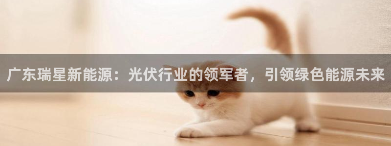 申慱sunbet网站