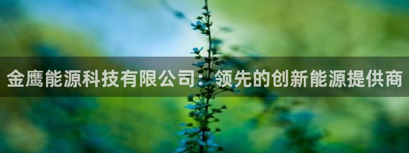 申博手机版app下载