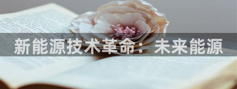 sunbet申搏官方网站