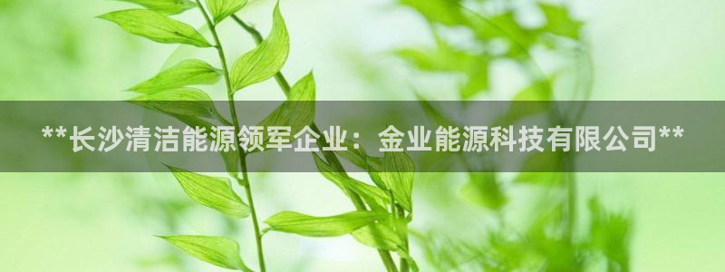 sunbet燃气灶
