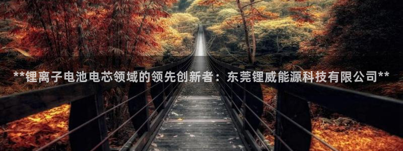 sunbet程序