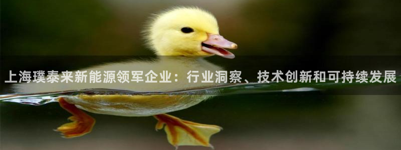 申博app下载