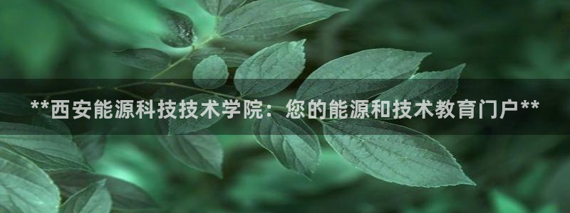 sunbet线上真人手机版