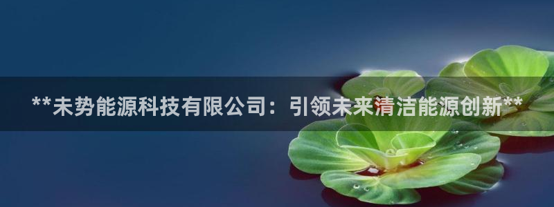 申博官网手机版下载app
