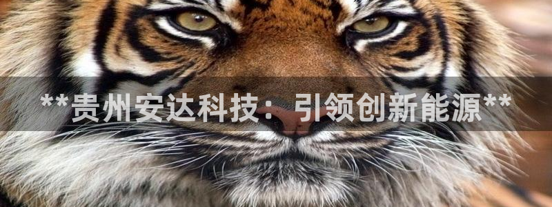 sunbet游戏