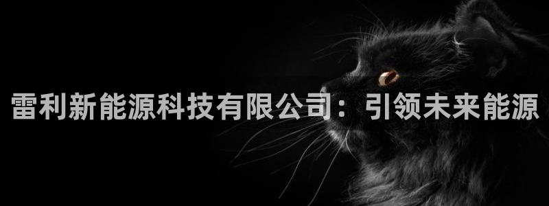 申博官网手机版下载app