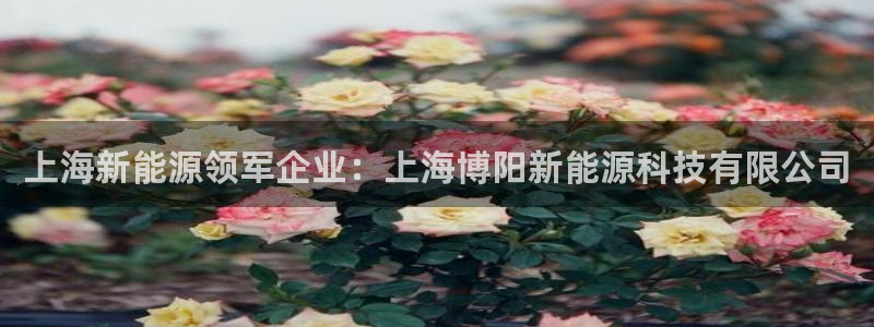 sunbet官网代理下载