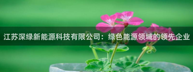 sunbet中国官网