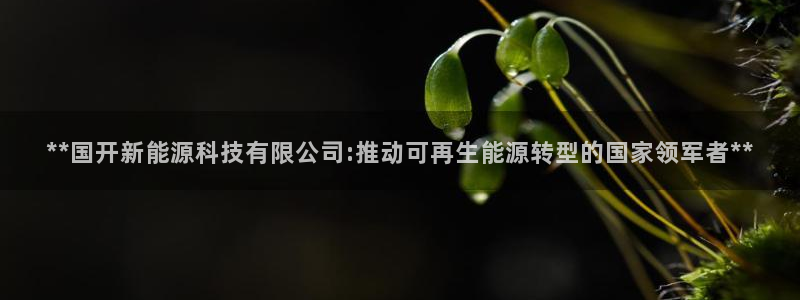 sunbet苹果官网下载