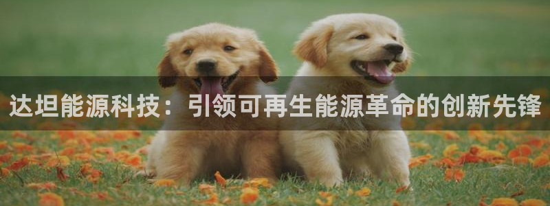 sunbet游戏
