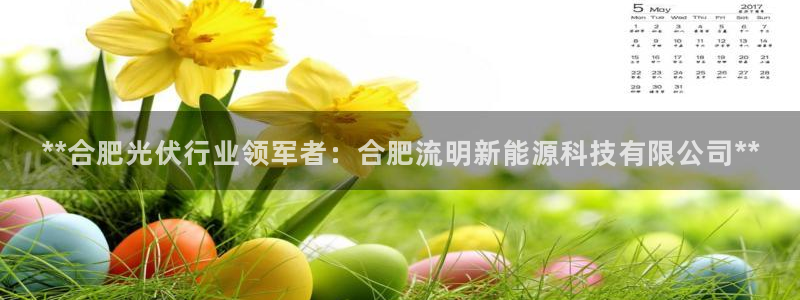 sunbet官网手机版登录