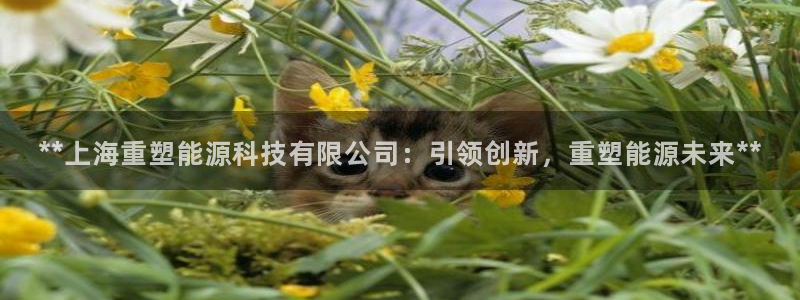 申博app下载