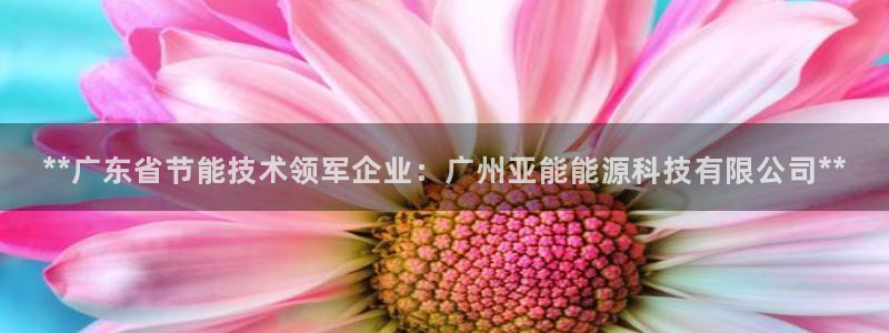 sunbet手机版官网下载