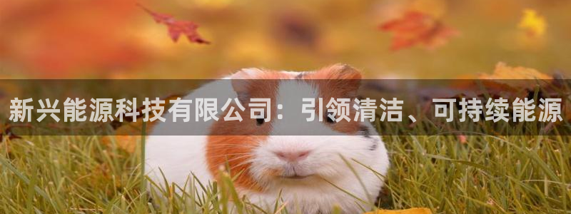 sunbet燃气灶