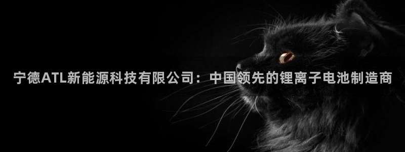 sunbet官网手机版登录