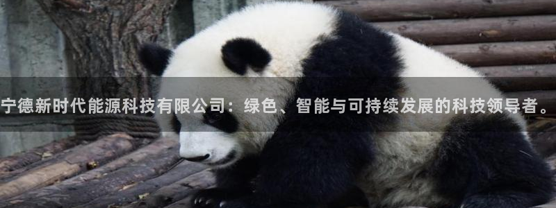 sunbet游戏