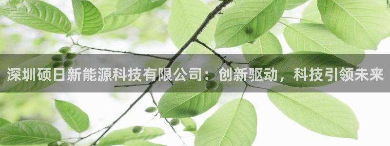 sunbet手机网页版本