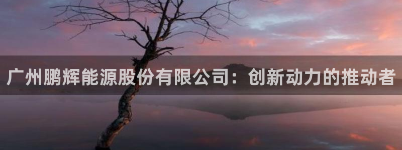 sunbet官网登录首页