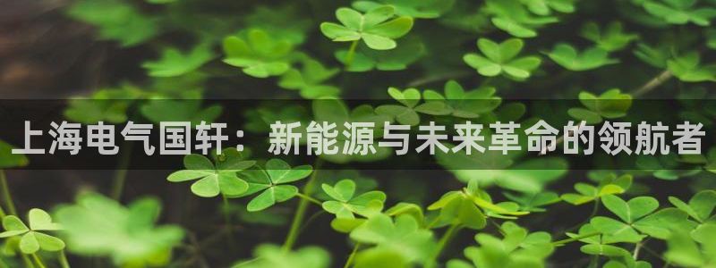 进入sunbet官网手机版登陆
