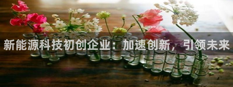 sunbet首页登录入口