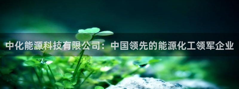 申慱sunbet版app