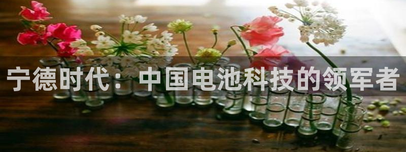 sunbet源码
